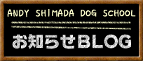 ANDY SHIMADA DOG SCHOOL　スクールブログ